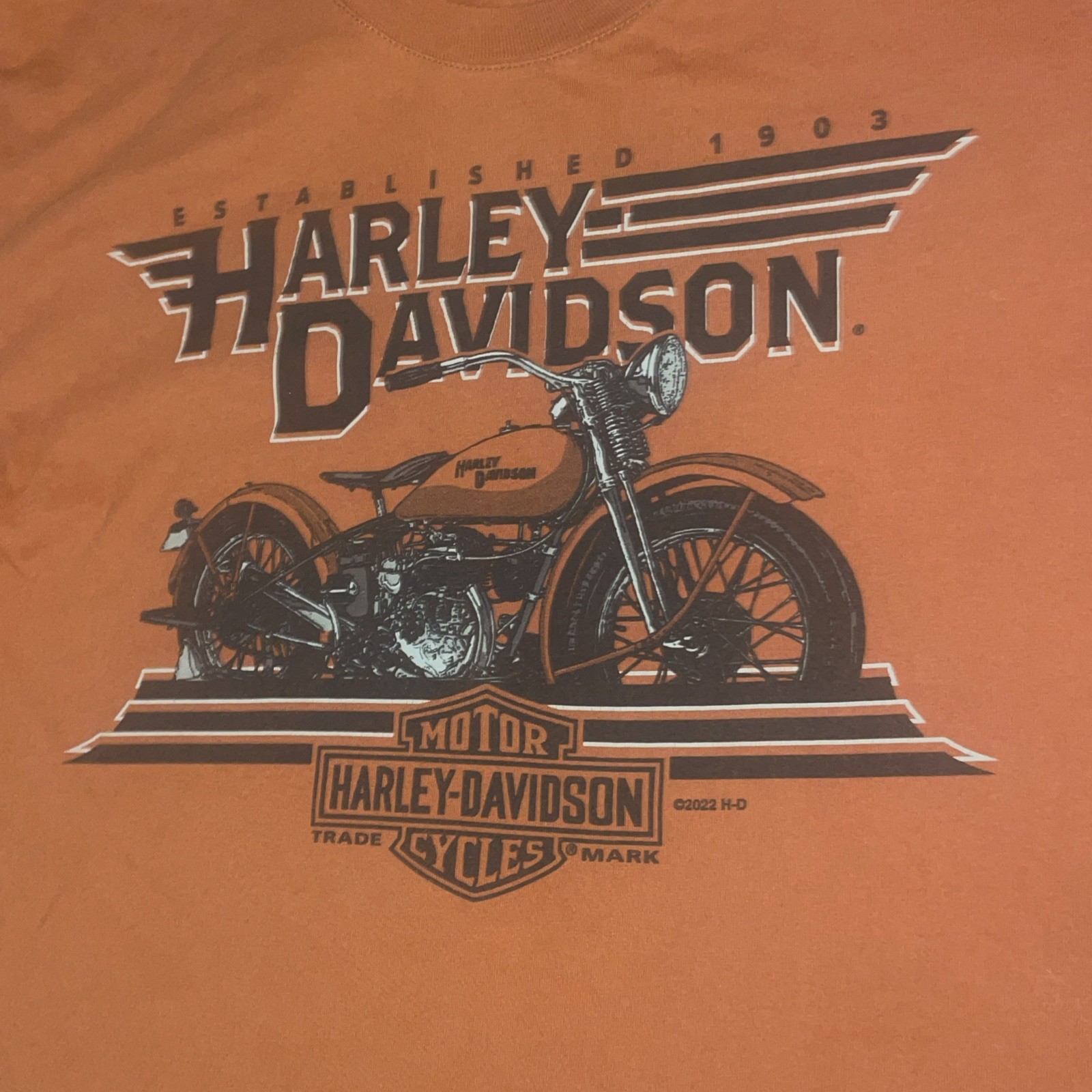 Harley Davidson Fort Worth Texas T Shirt Sz Large Orange Biker Distressed