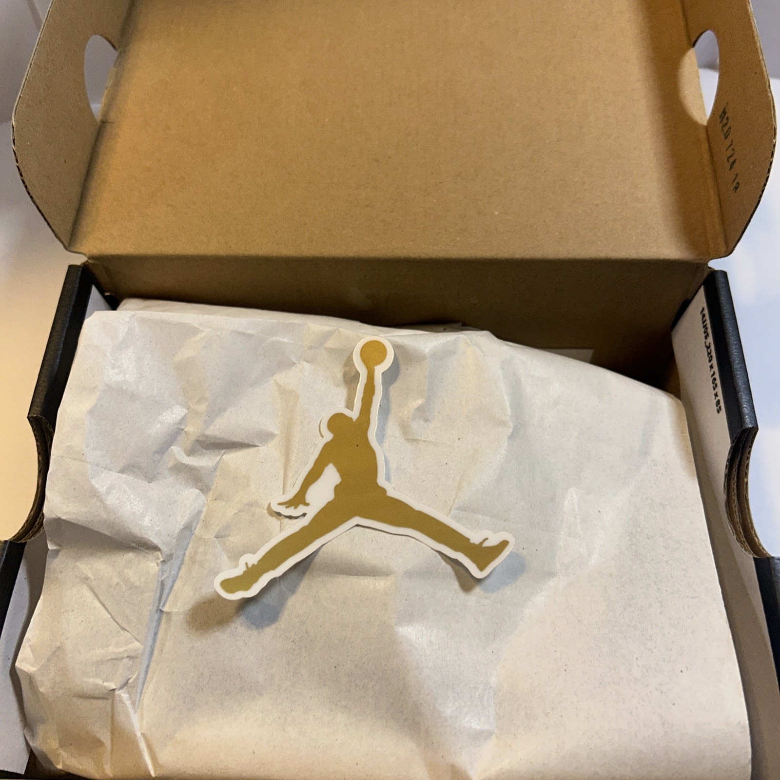 Jordan 1 Retro High OG (TD) Size 9c Brand New With Box