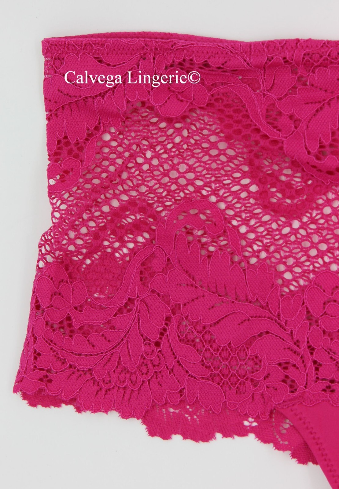 NWT Le Mystere 7946 “Lace Allure” Hi-Waist Lace / Fishnet Thong, Hot Pink