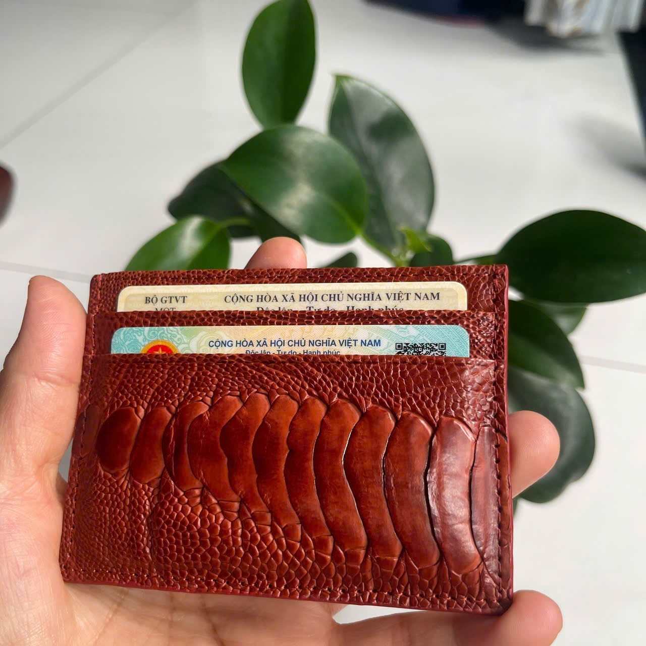 BrownGENUINE OSTRICH LEATHER SKIN CREDIT CARD HOLDER/ WALLET CARD HOLDER FOR MEN