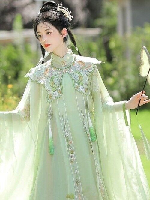 Chinese Hanfu Ming Dynasty Cloud Shoulder Stand Collar Long Shirt Pleated Dress