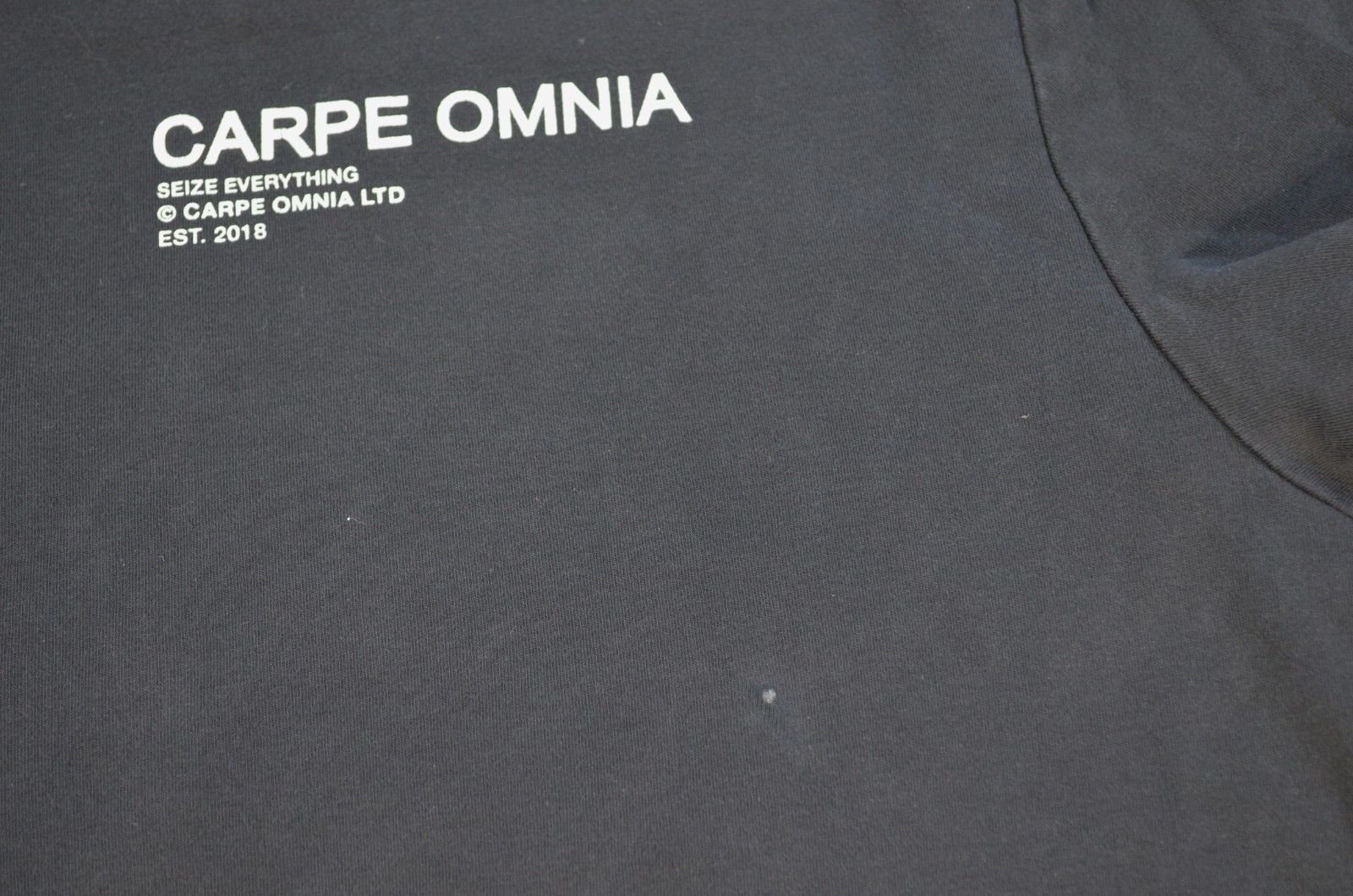 Carpe Omnia Men’s Short Sleeve Cotton T Shirt Seize Everything Medium 2018