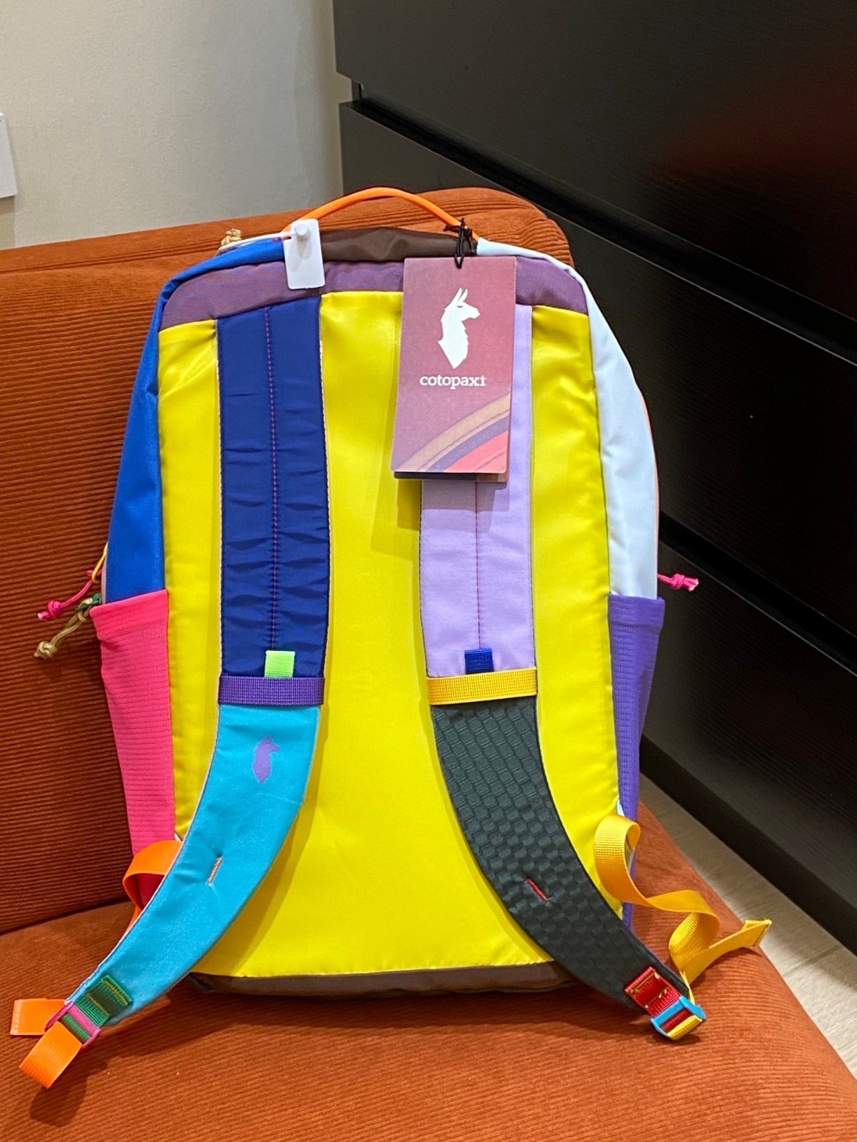 Cotopaxi Blue & Pink Dopamine Color-Block Alpaca Backpack 26x15x43cm
