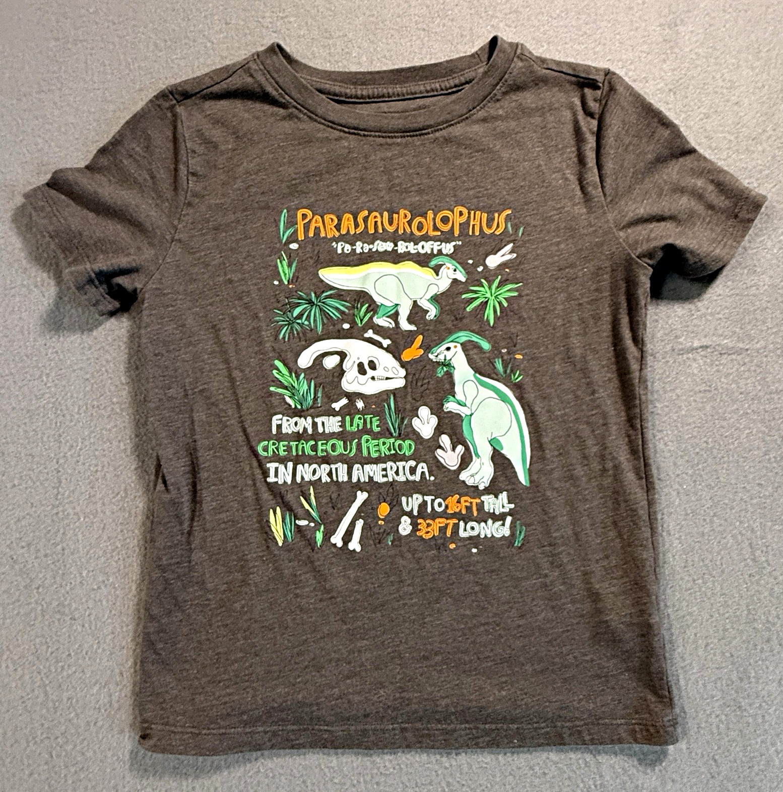 Cat & Jack Boys S (6/7) Gray Crew Neck Short Sleeve Dinosaur Graphic T-Shirt
