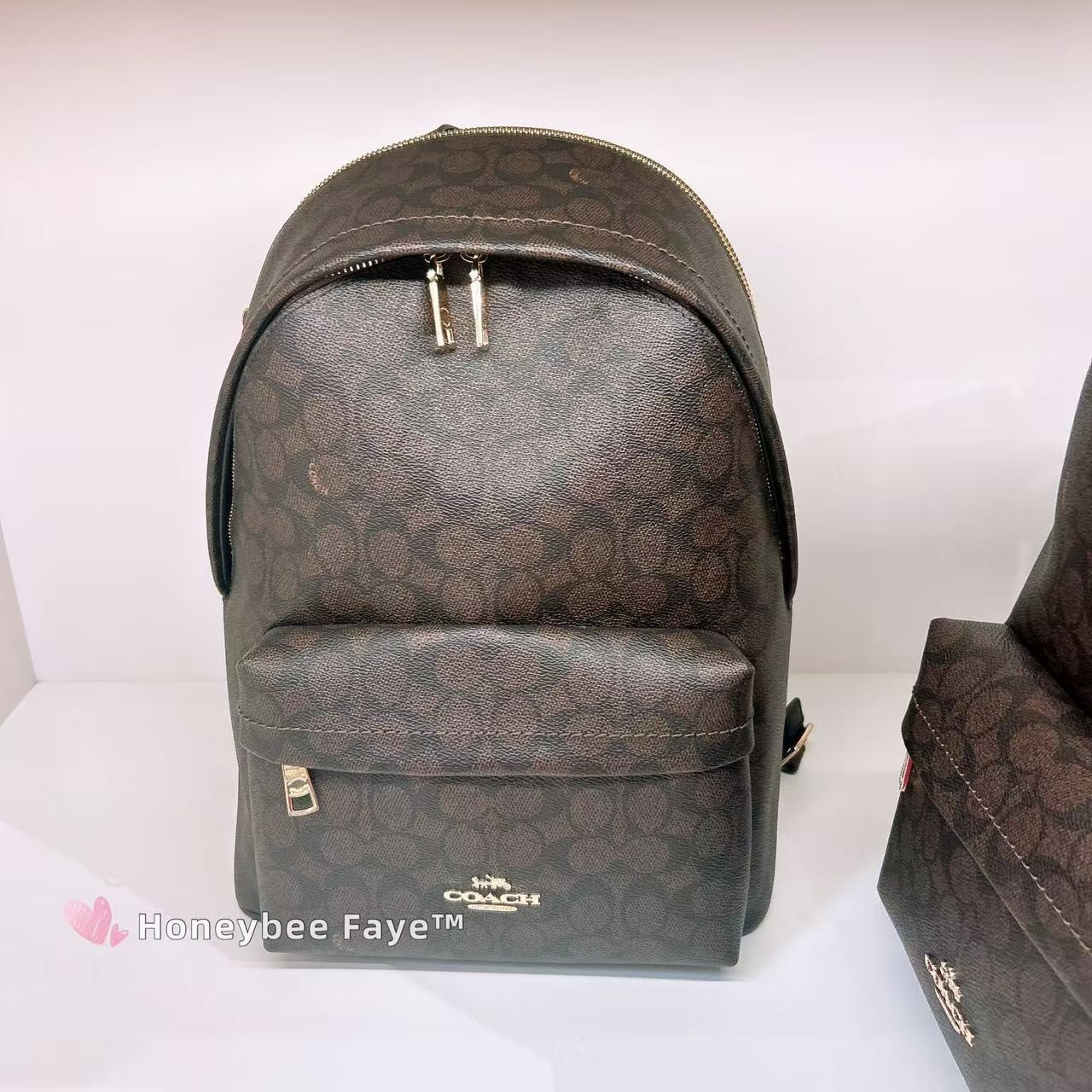 NWT Coach Taylor Small Backpack In Signature Canvas CDW76/CDW78/CEF46/CEF27