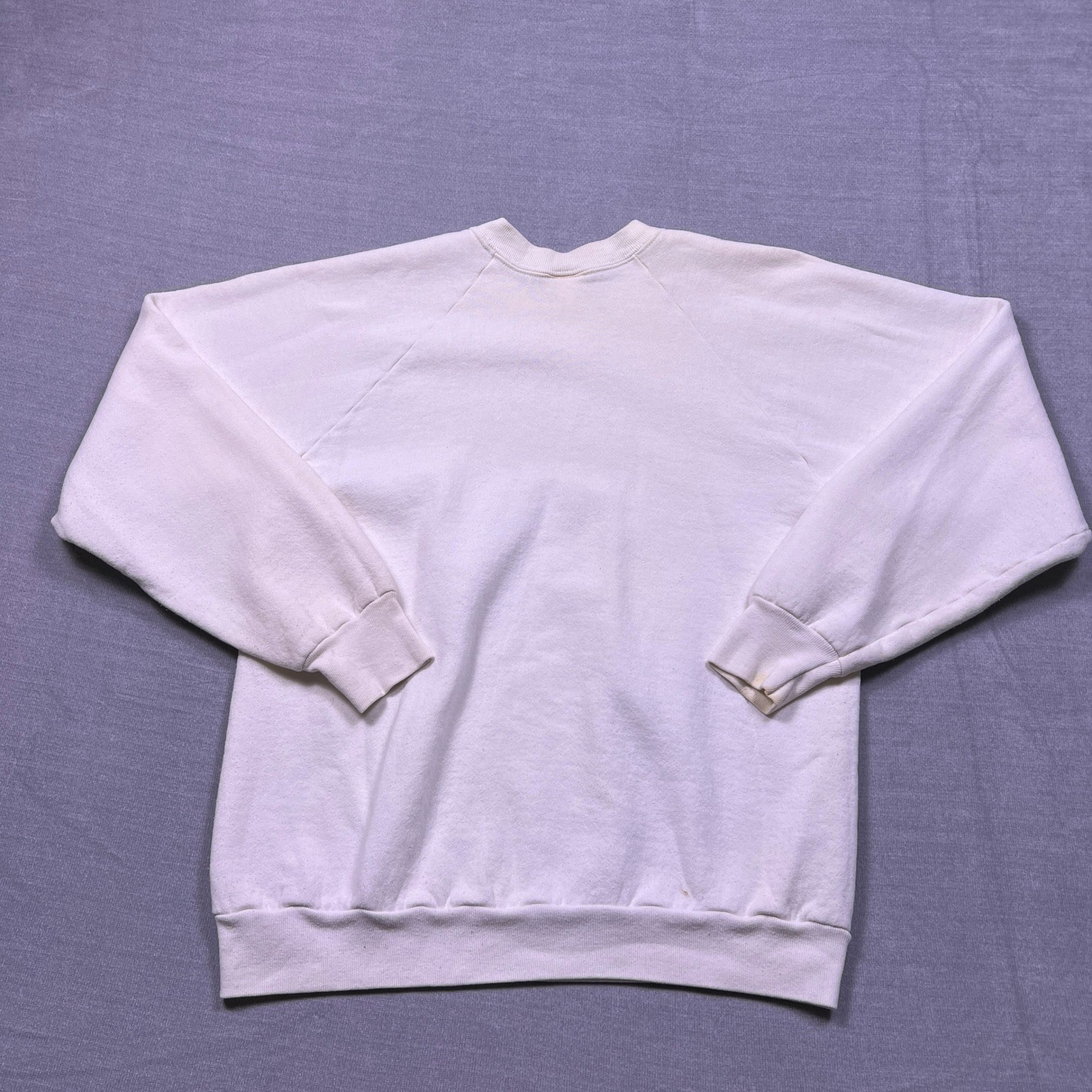 Vintage Carpe Diem Seize The Day Sweatshirt Mens Large White Raglan Crewneck