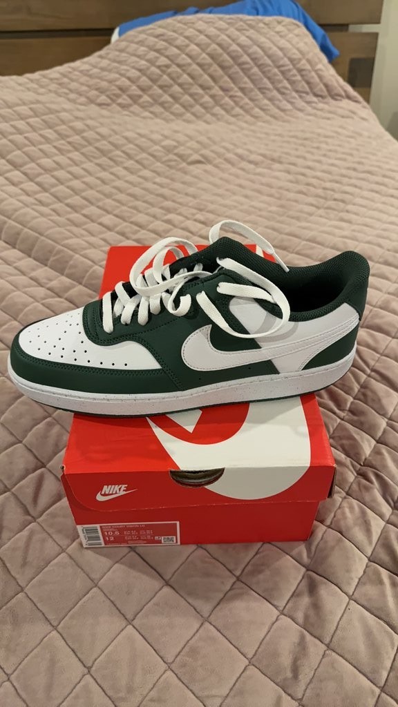Nike Court Vision Lo Sneakers – White/Green