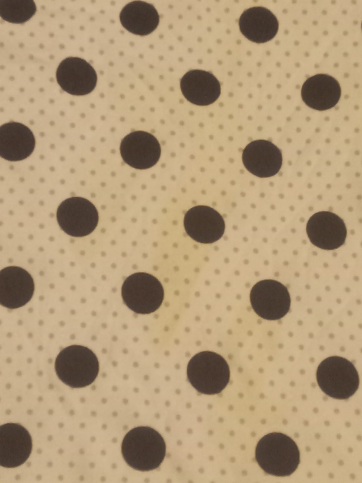 Charter Club Women’s Small White Polka Dot Boat Neck Top NWT (Read Description)