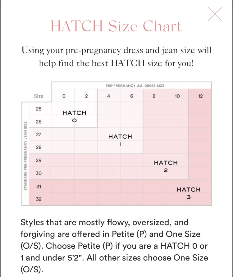 Hatch Maternity Women THE BOYFRIEND SHIRT Petal Gingham Cotton $178 NEW