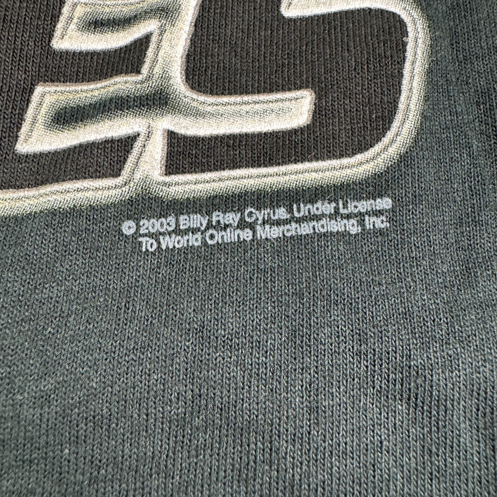 Vintage 2003 Billy Ray Cyrus Mens Size L Time Flies Tour T Shirt Made in USA