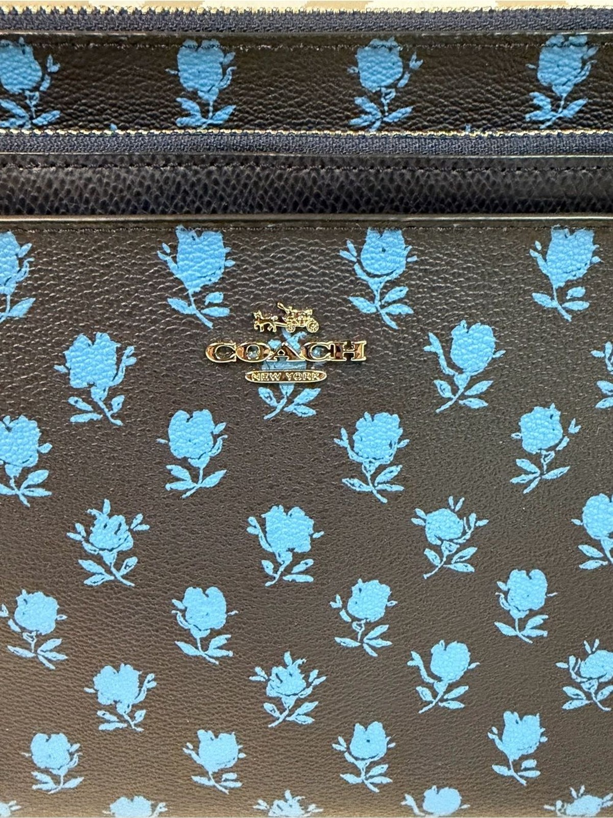 Coach East West Crossbody in Badlands Floral Print and Removable Pouch