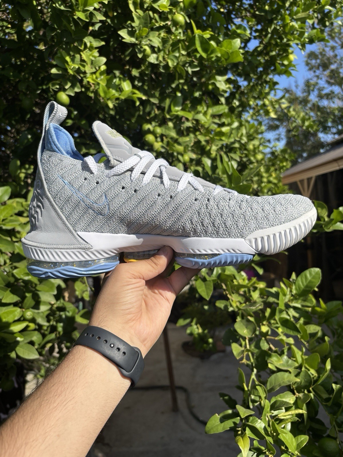 Nike LeBron 16 Men’s Mid Top Basketball Sneakers Cushioned Lace-Up Lion
