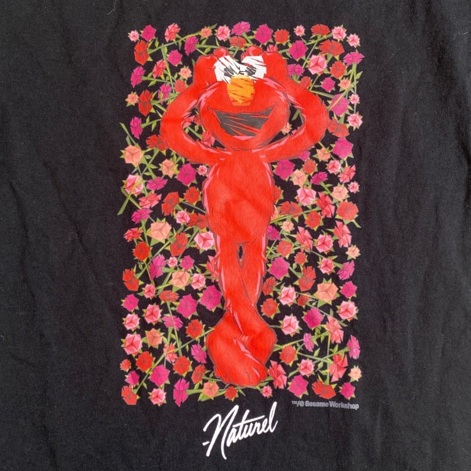 Champion Naturel Elmo Sesame Street Graphic T-Shirt Mens Medium Black Cotton