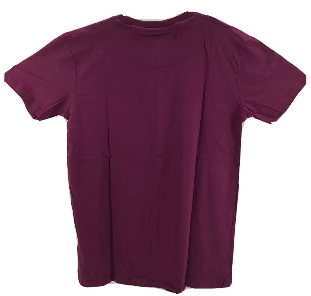 Tommy Hilfiger Men’s, Classic Fit Crew Neck Flag Cotton T-Shirt, Purple, XL