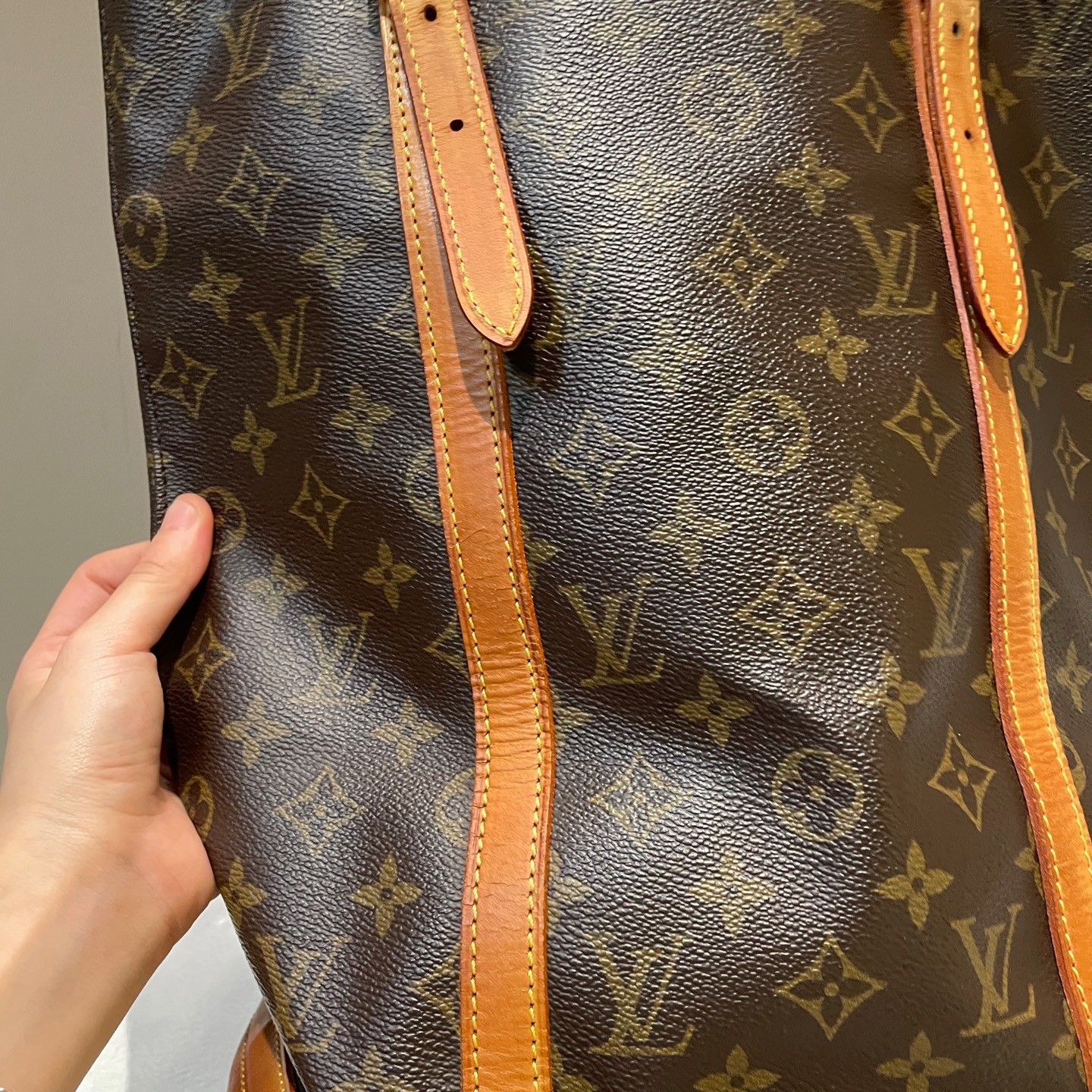 Louis Vuitton Noe GM Monogram Large Bucket Bag