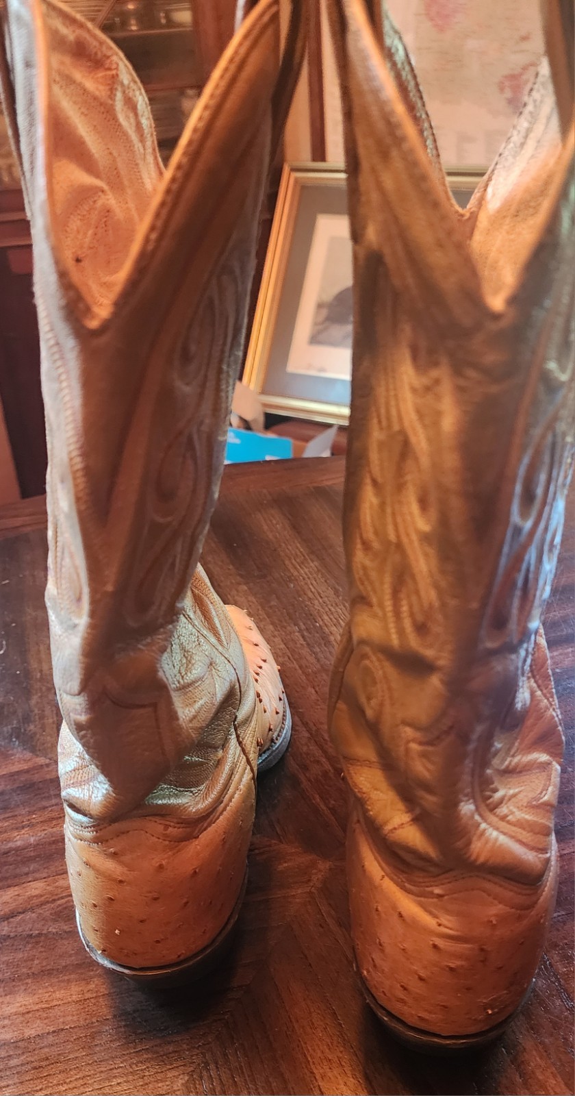 J. Chisholm Men’s Full Quill Ostrich Leather Boots 10D