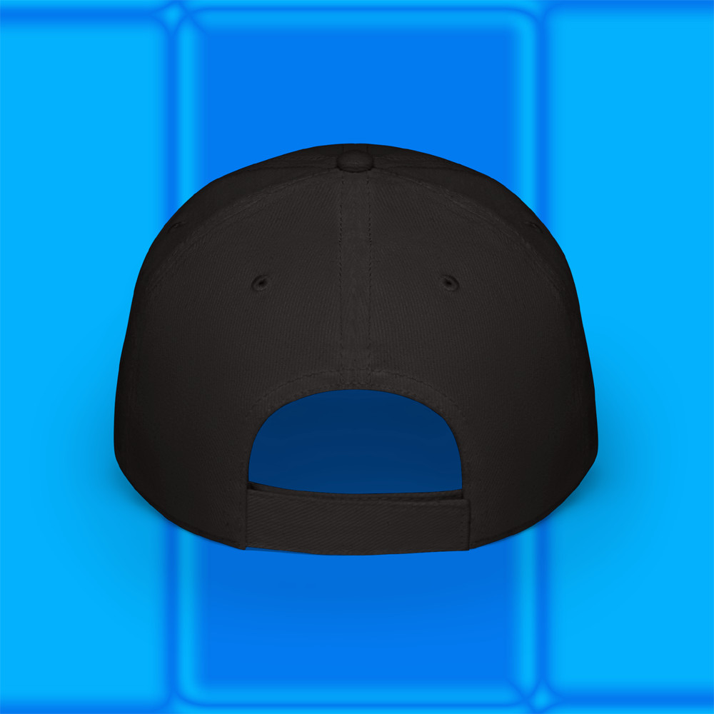 Panavision Film Crew Black Baseball Cap Hat Adult Size Adjustable S/M & L/XL