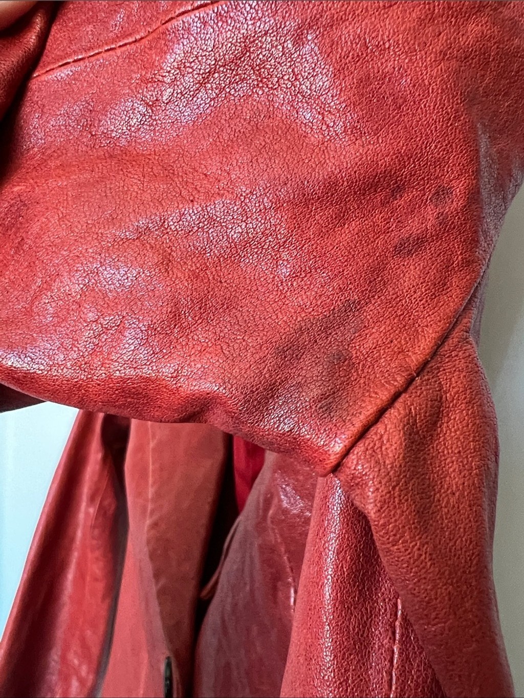 Elizabeth and James Red Leather Blazer Jacket