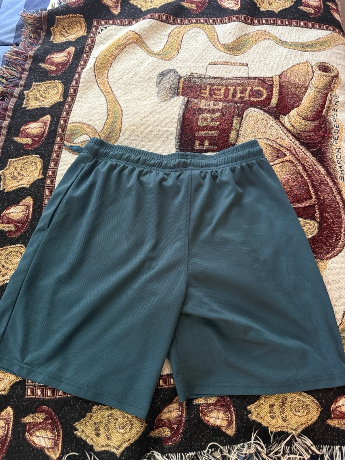 Performance Sports Men’s Blue Mesh Athletic Shorts L Drawstring Pockets