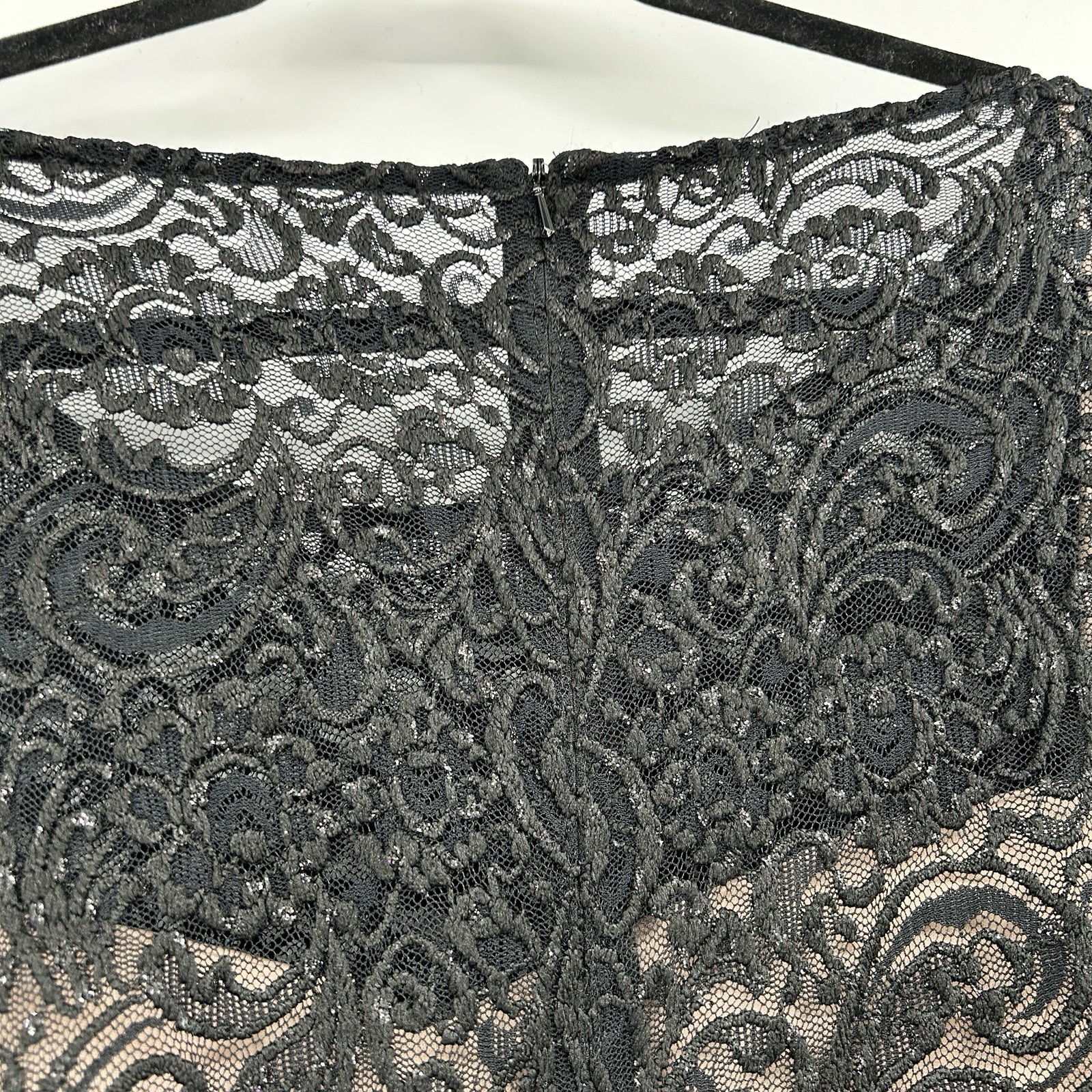 Alex Evenings Elegant Beaded Lace Evening Dress 18W Gala Mother of Bride Glam