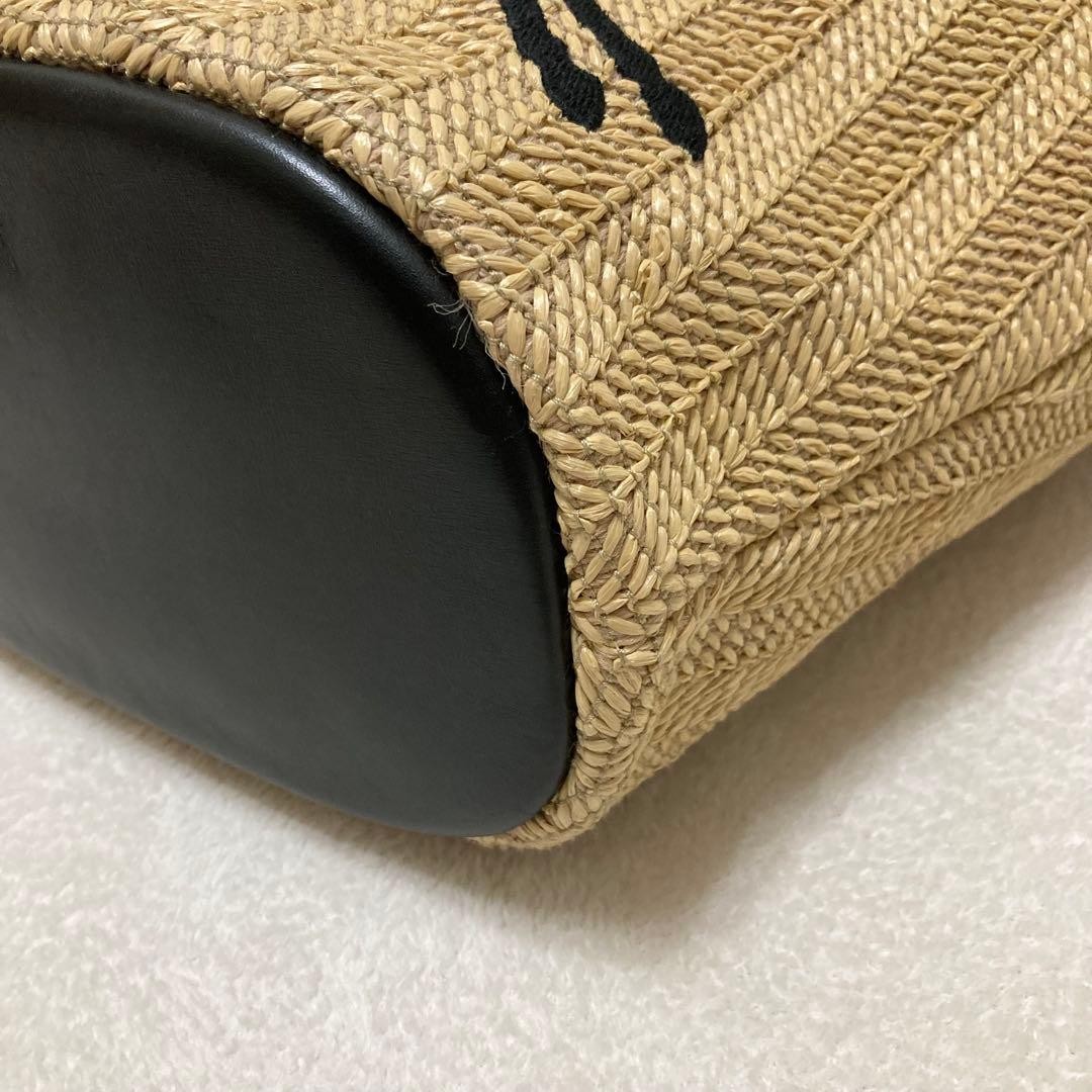 [Excellent Condition] Longchamp Le Panier Pliage Roseau Tote Bag, Made in France