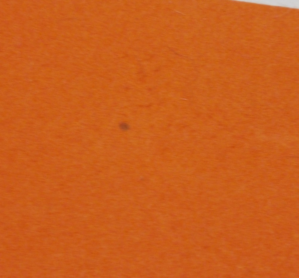 Authentic HERMES Game Mat Evelyn suede #8115