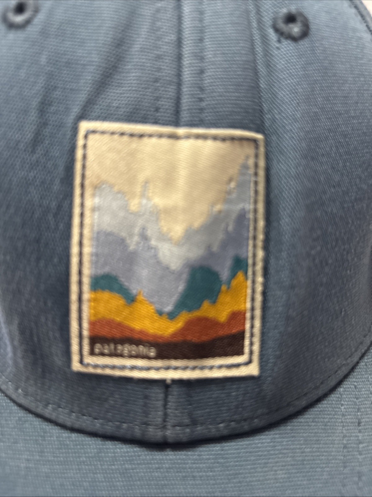 PATAGONIA “Graphed” Roger That Hat – Trucker Blue – Fall 2014