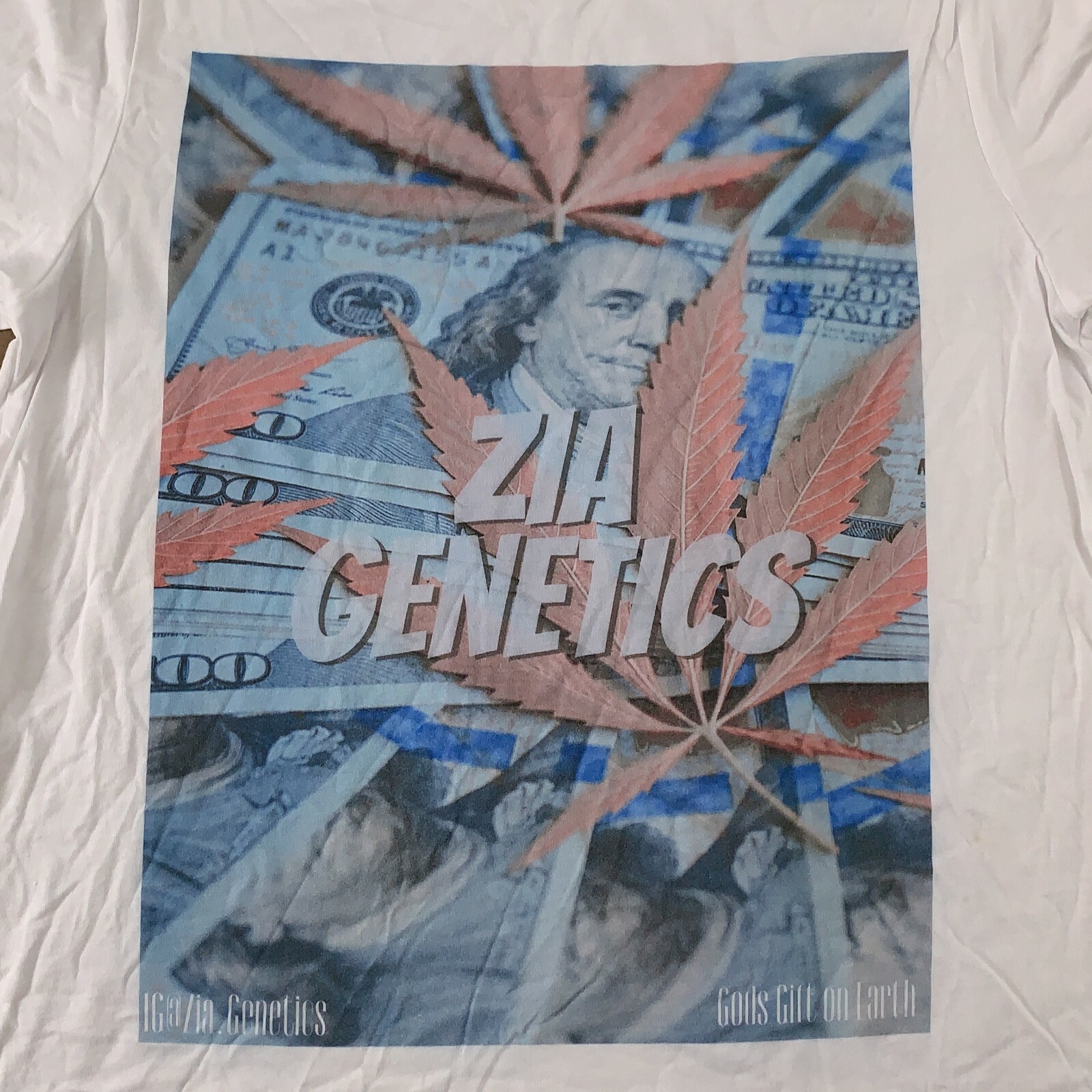 Canva Men’s Size Large White Zia Genetics Gods Gift on Earth Graphic T-Shirt New