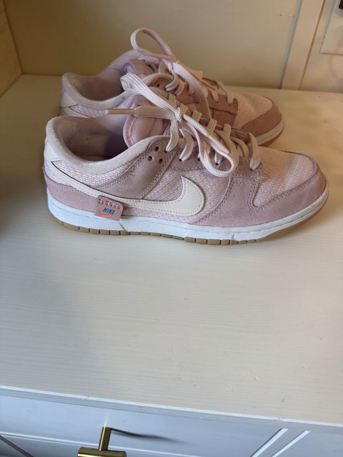 Nike Women’s Dunks Teddy Bear