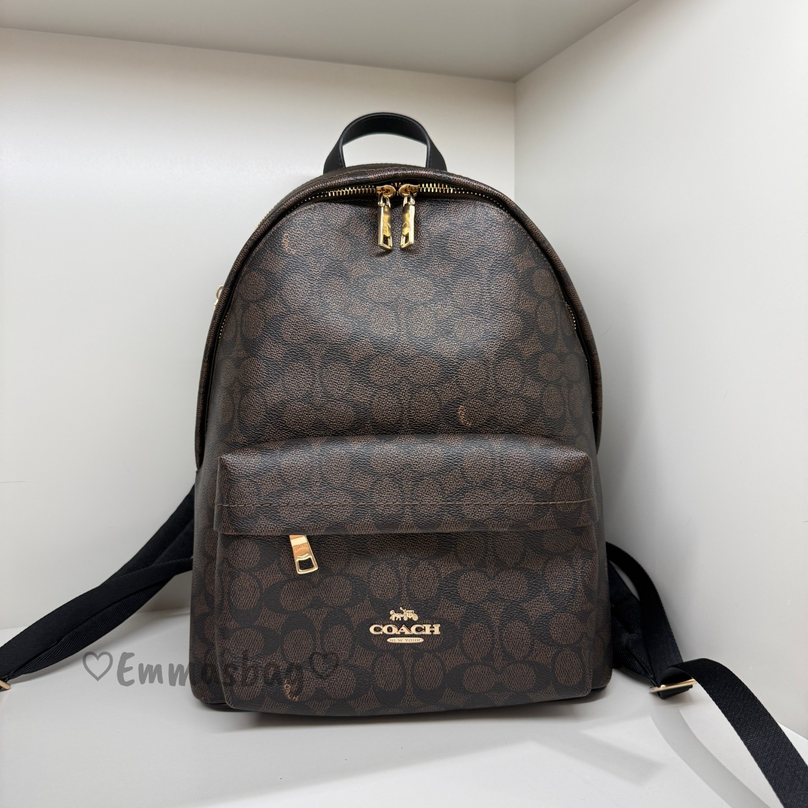 NWT Coach Taylor Small Backpack In Signature Canvas CDW76 WALNUT/BLACK