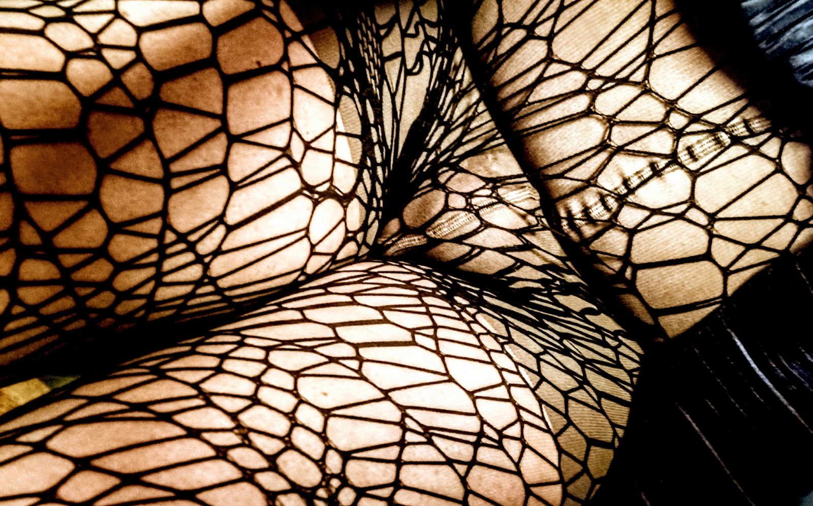 🕸️Claire’s Fishnet Spiderweb Goth Web Tights Stockings Ladies M/L Costume Goth