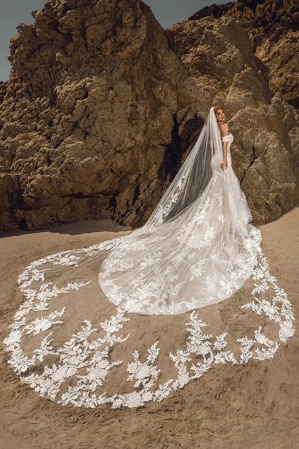 Bridal Wedding Veil Flower Applique Edge Lace Cathedral Length With Comb