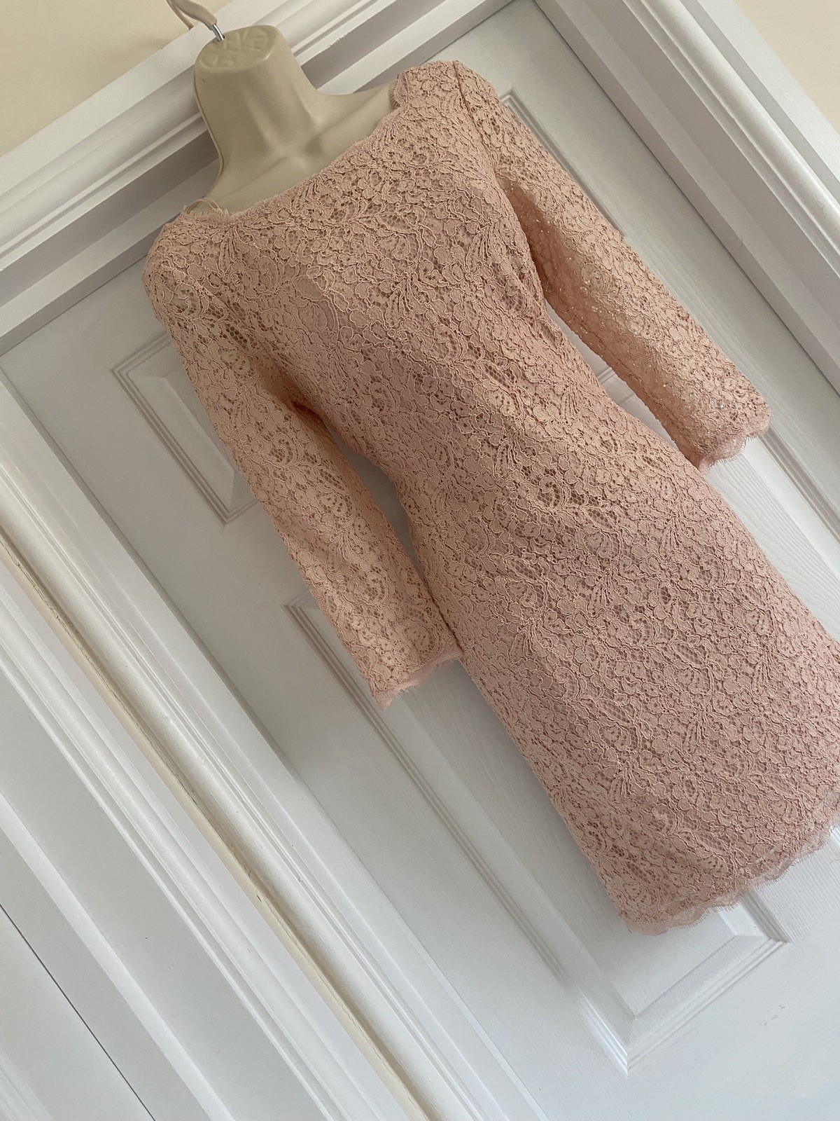 ADRIANNA PAPELL NEW YORK BNWT APPLIQUÉ LACE SIZE 8/10 BLUSH WIGGLE PARTY DRESS