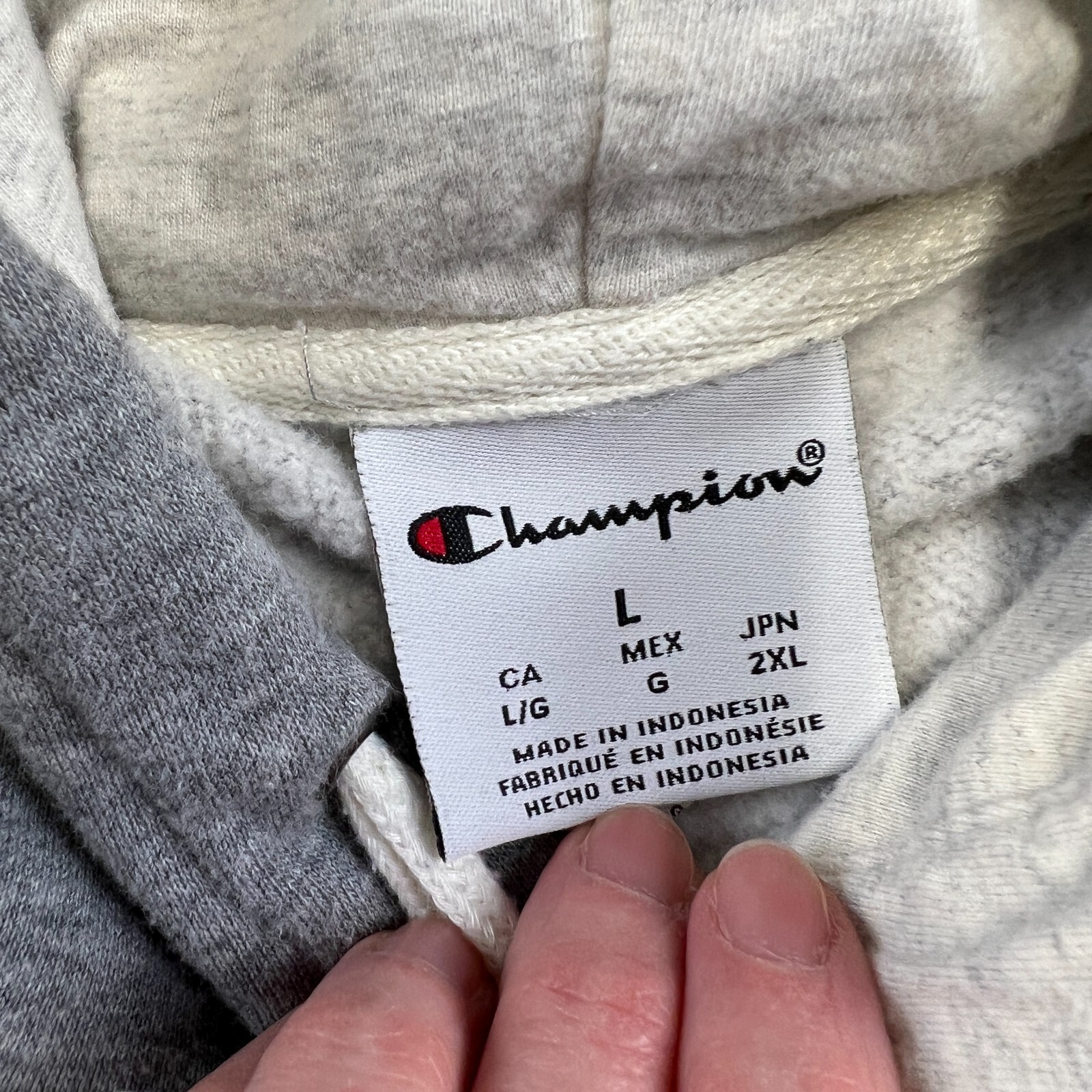 Champion Hoodie Sweatshirt Mens Large Gray GOATS Graphic Pocket Casual Leisure