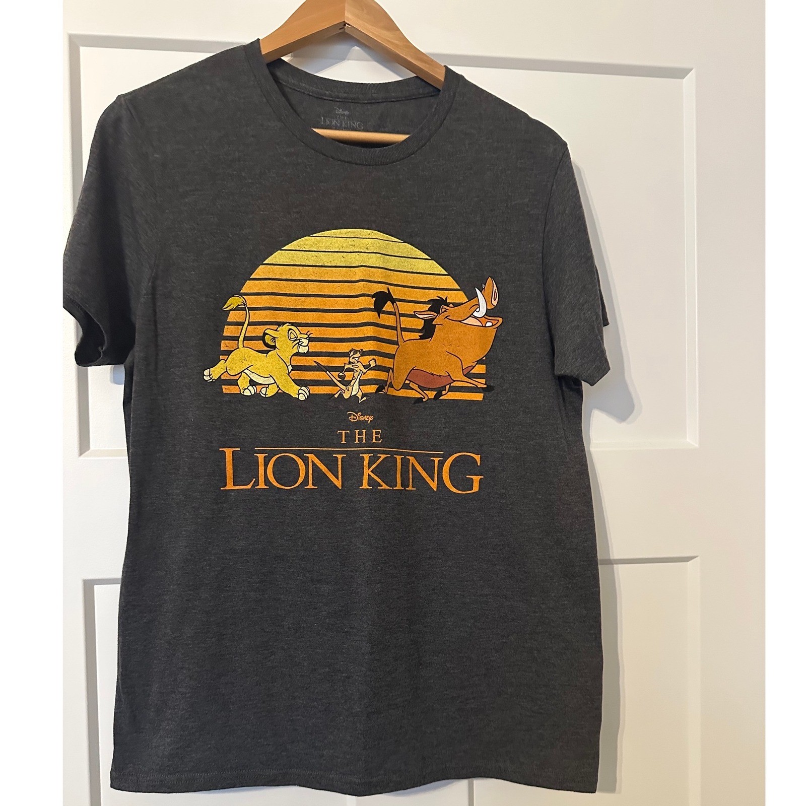 Unisex Disney The Lion King Simba Timon Pumbaa Graphic T-Shirt Charcoal Medium