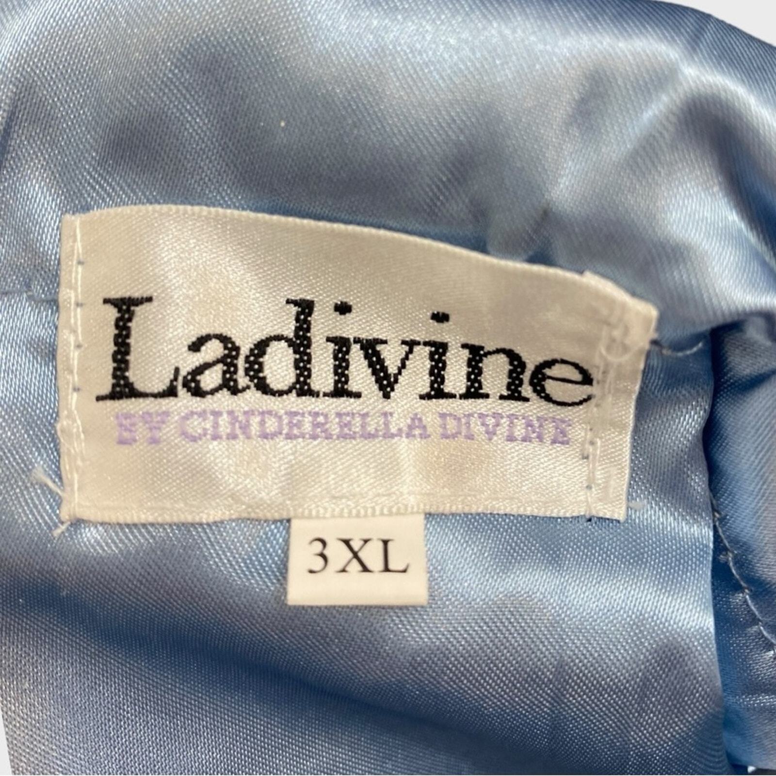 Ladivine by Cinderella Divine Smoky Blue Sheer Bodice Floral A-line Dress NWT 3X