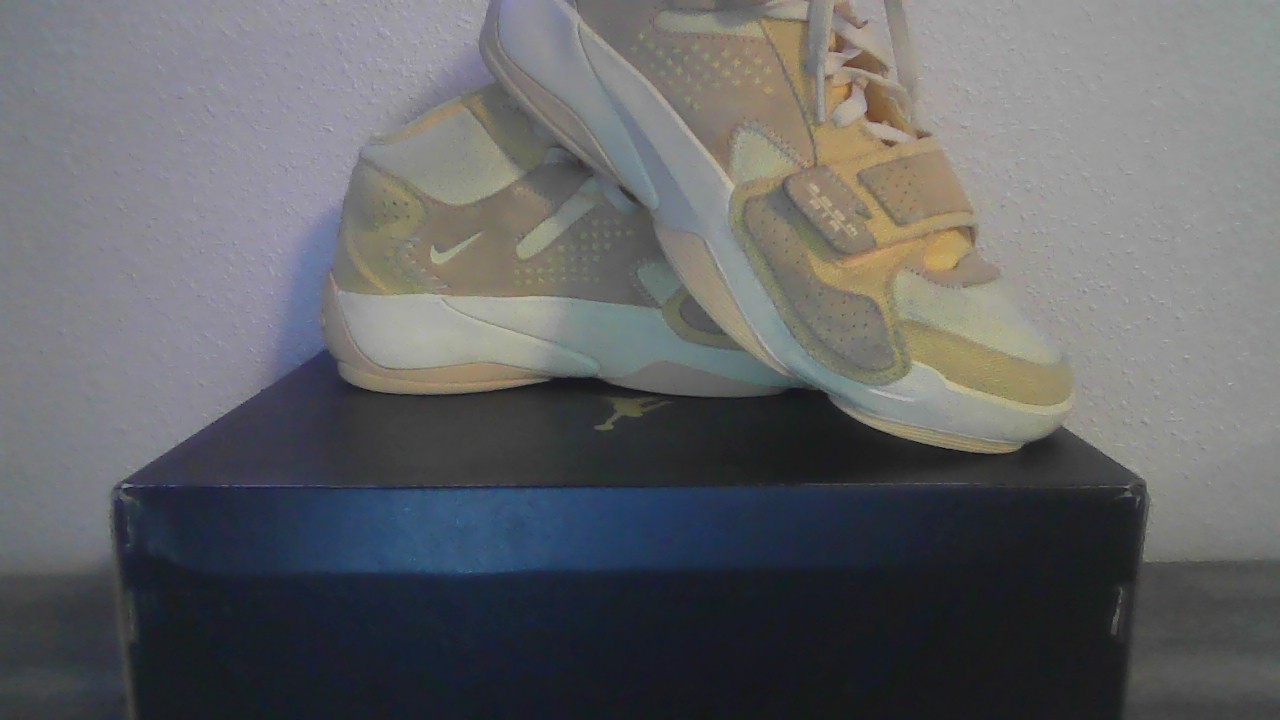 Size 9.5 – Air Jordan Zion 2 Full Moon