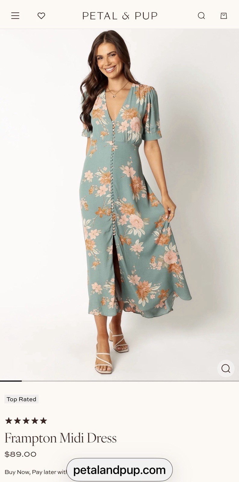 Petal & Pup Frampton Midi Dress M Blue Floral V-Neck Short Sleeve Button Front
