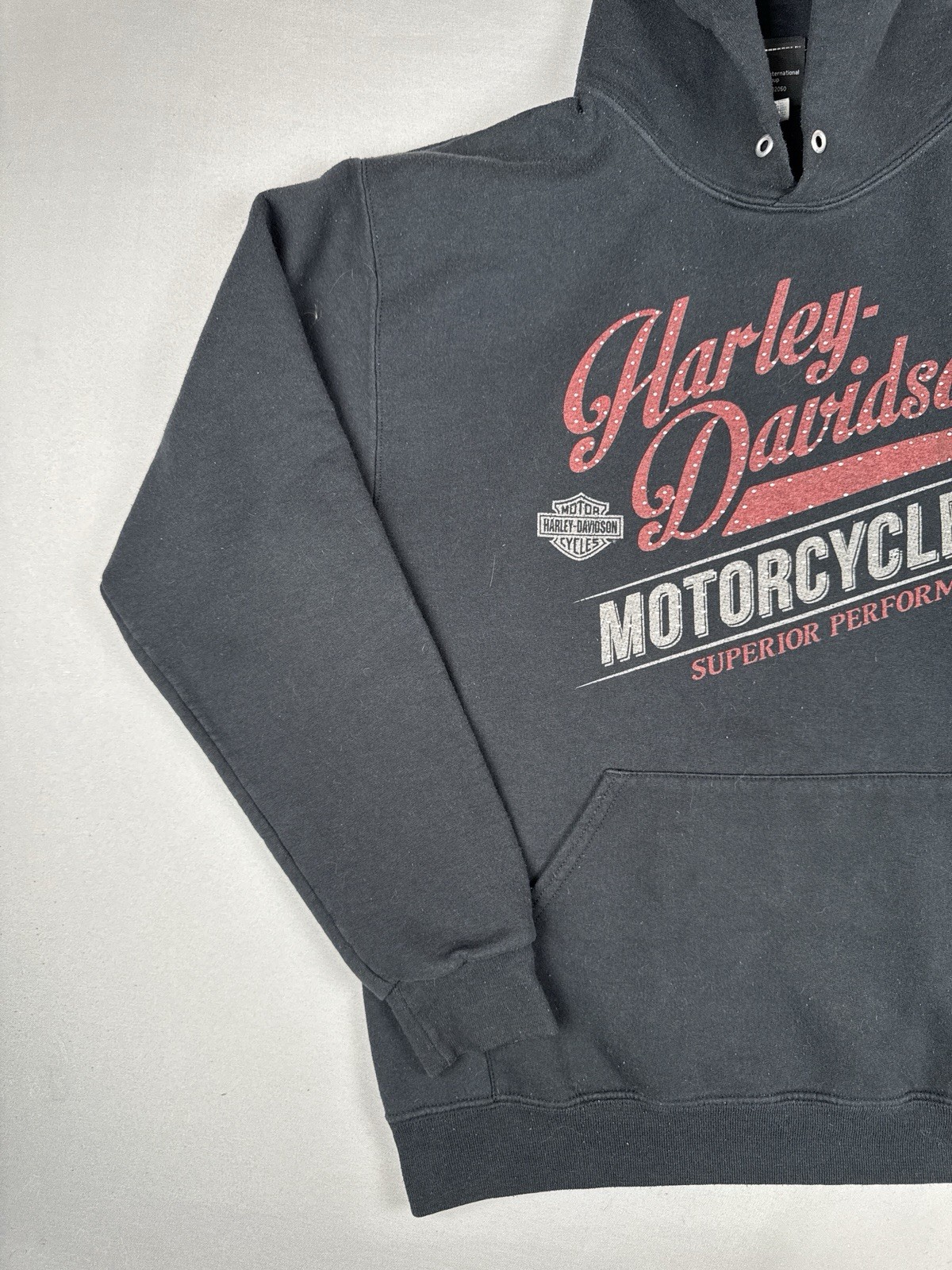 Harley Davidson Chippewa Falls Wisconsin Hoodie Eagle Biker Pullover M