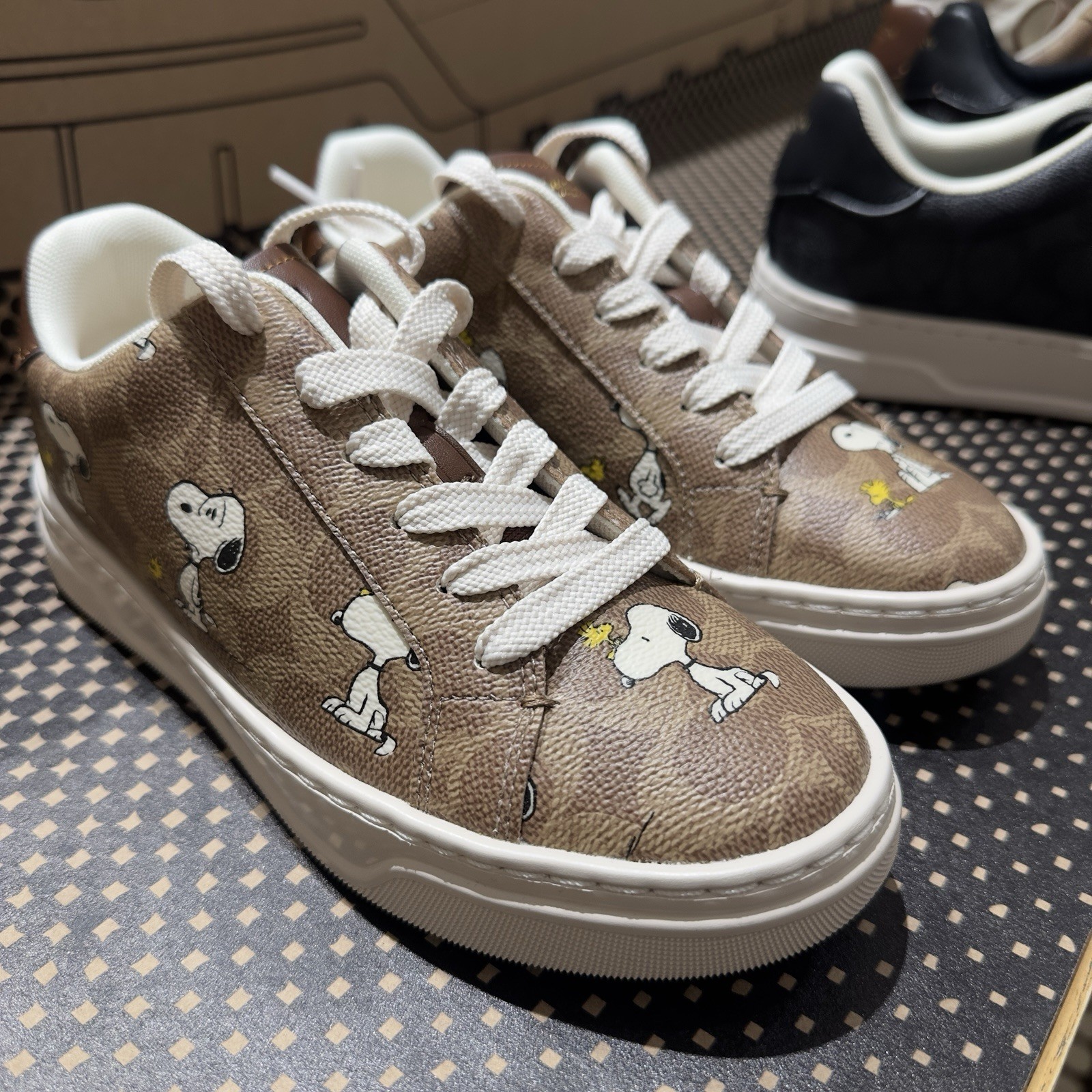 Coach X Peanuts High Line Sneaker In Signature Canvas With Snoopy Print 5B NEW