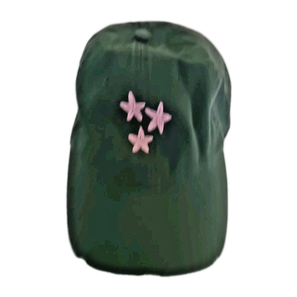 Aerie Hat Womens One Size Fits All Green Pink Flower Stars Adjustable Beach