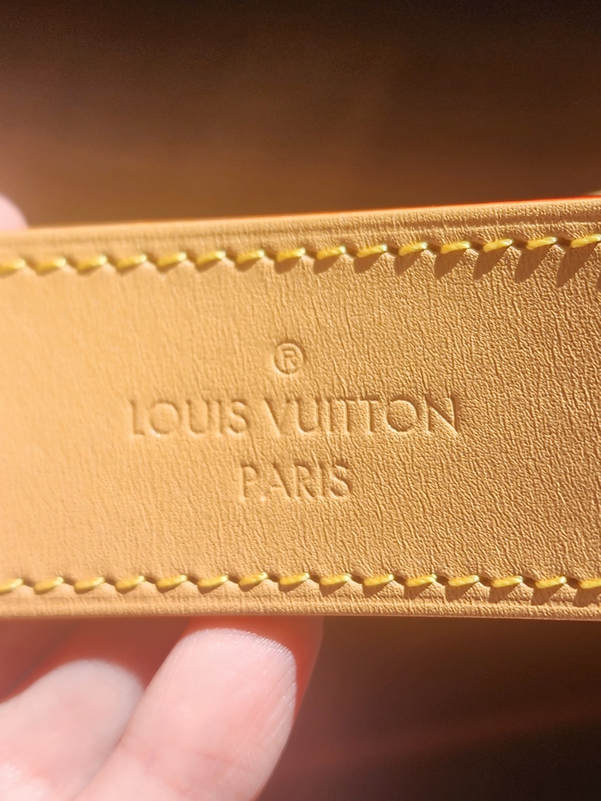 $2020 Brand New Authentic Louis Vuitton High Rise Monogram Belt Bag M46784