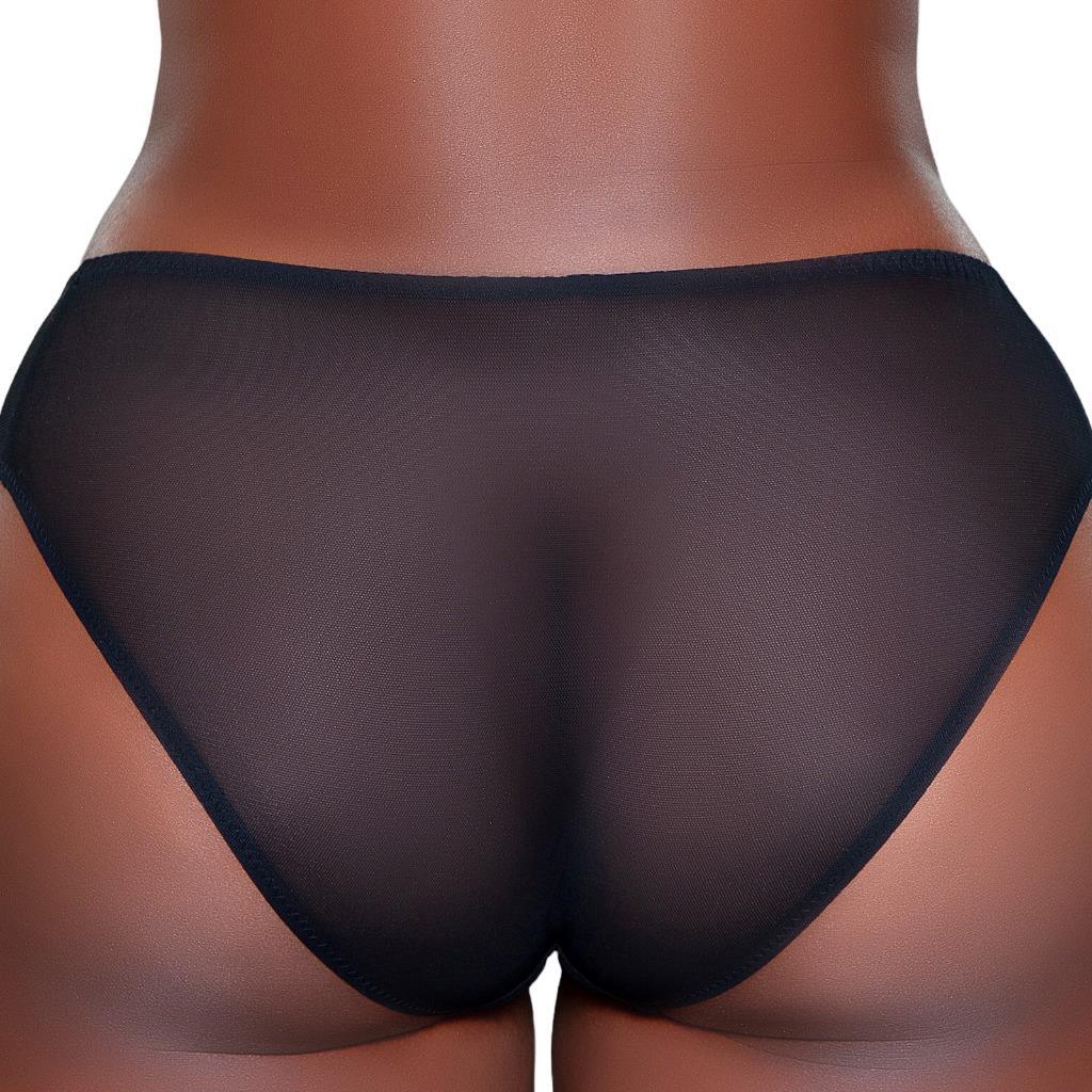 Embroidered Mesh Bikini Panty Sheer Stretch Lined Crotch Pink or Black 2227