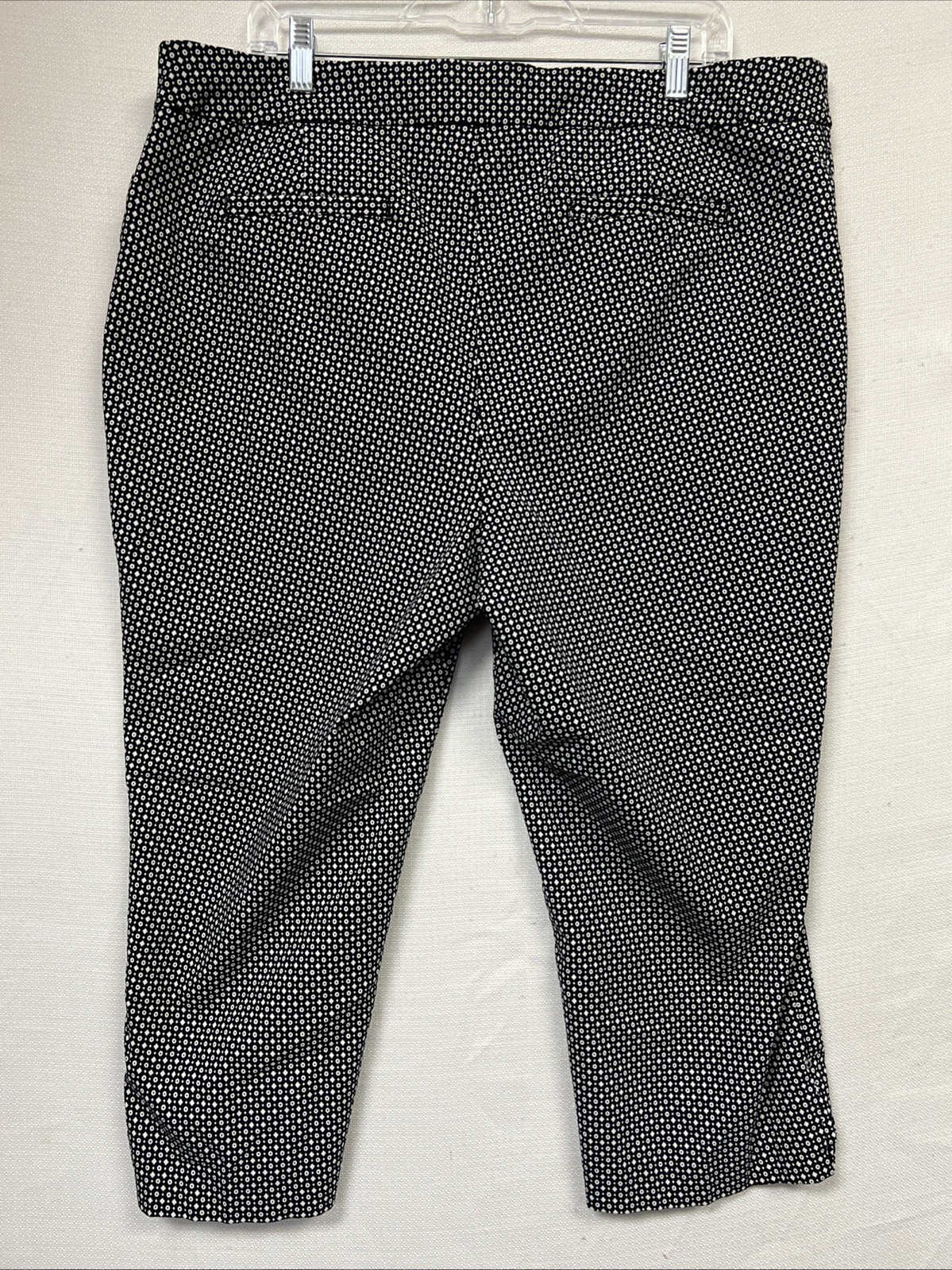 Dalia Size 20W Black Capris