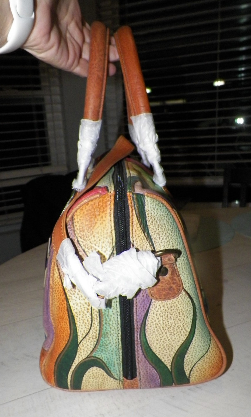 ANUSCHKA HAND PAINTED FLORAL & DRAGONFLIES PURSE NEW WITH TAGS