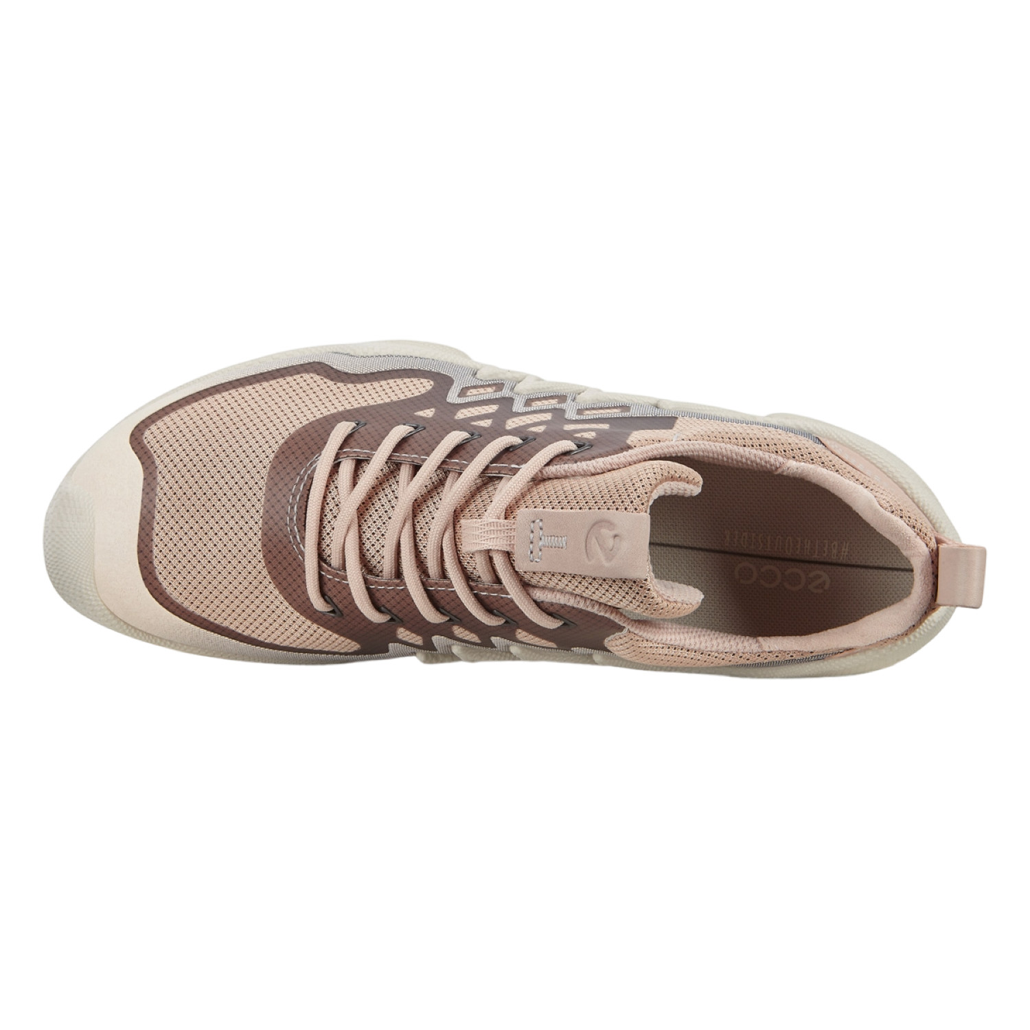 ECCO Women’s Biom Rose Dust Low Tex Sizes & Widths Free Shipping