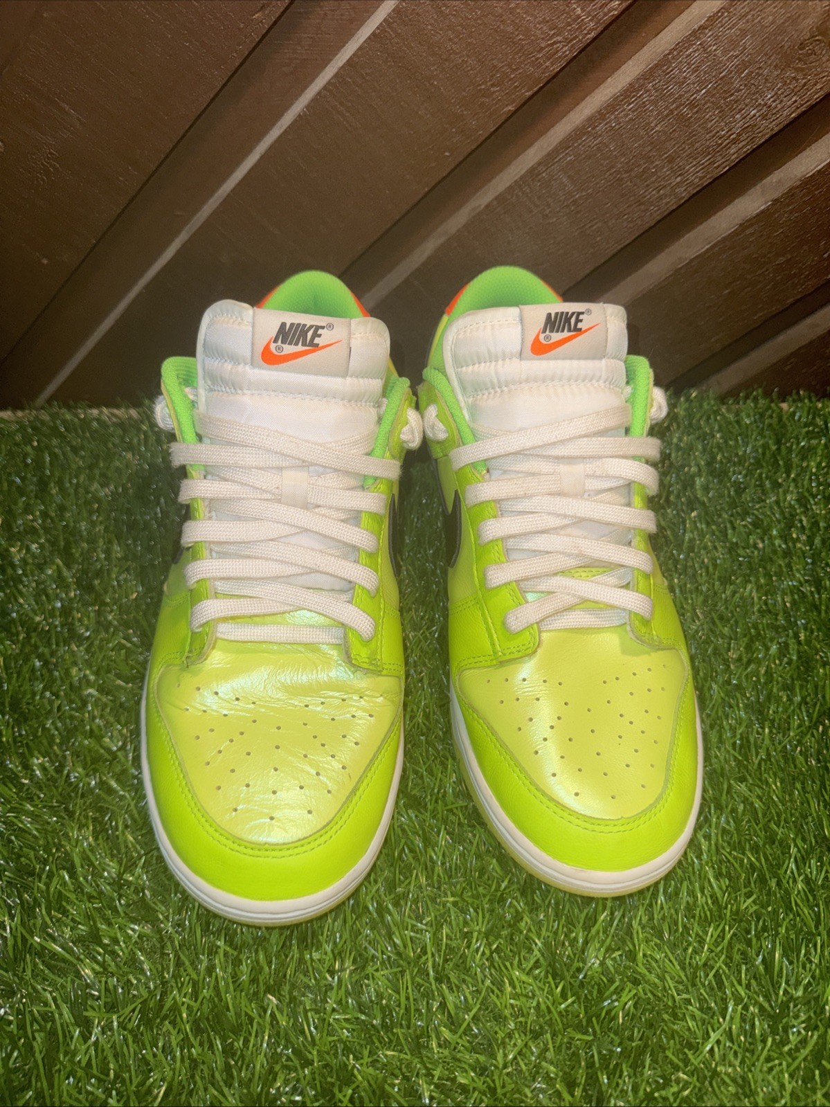 Size 10 – Nike Dunk SE Low Volt