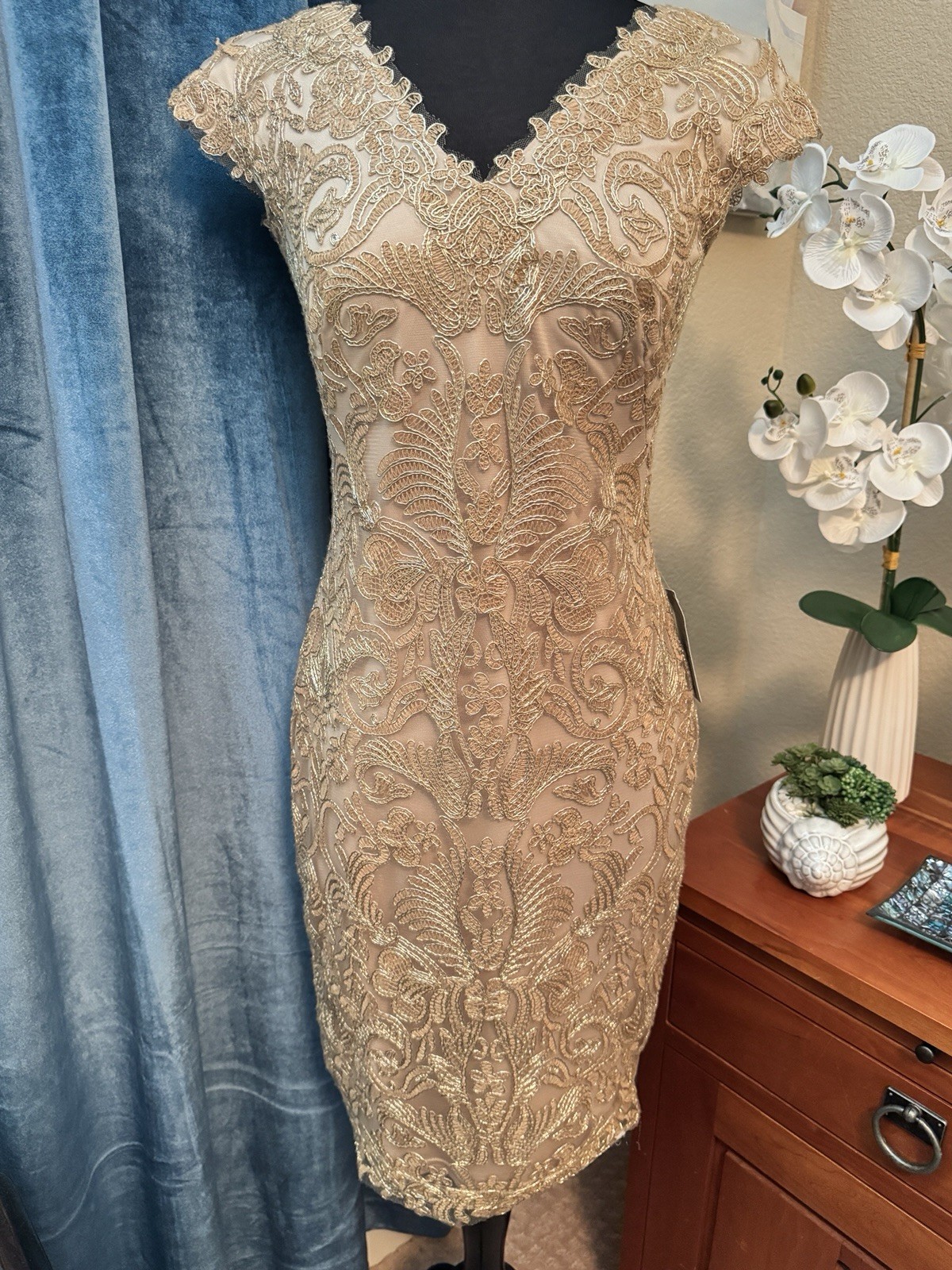 TADASHI SHOJI CORDED EMBROIDERED LACE DRESS SIZE 2