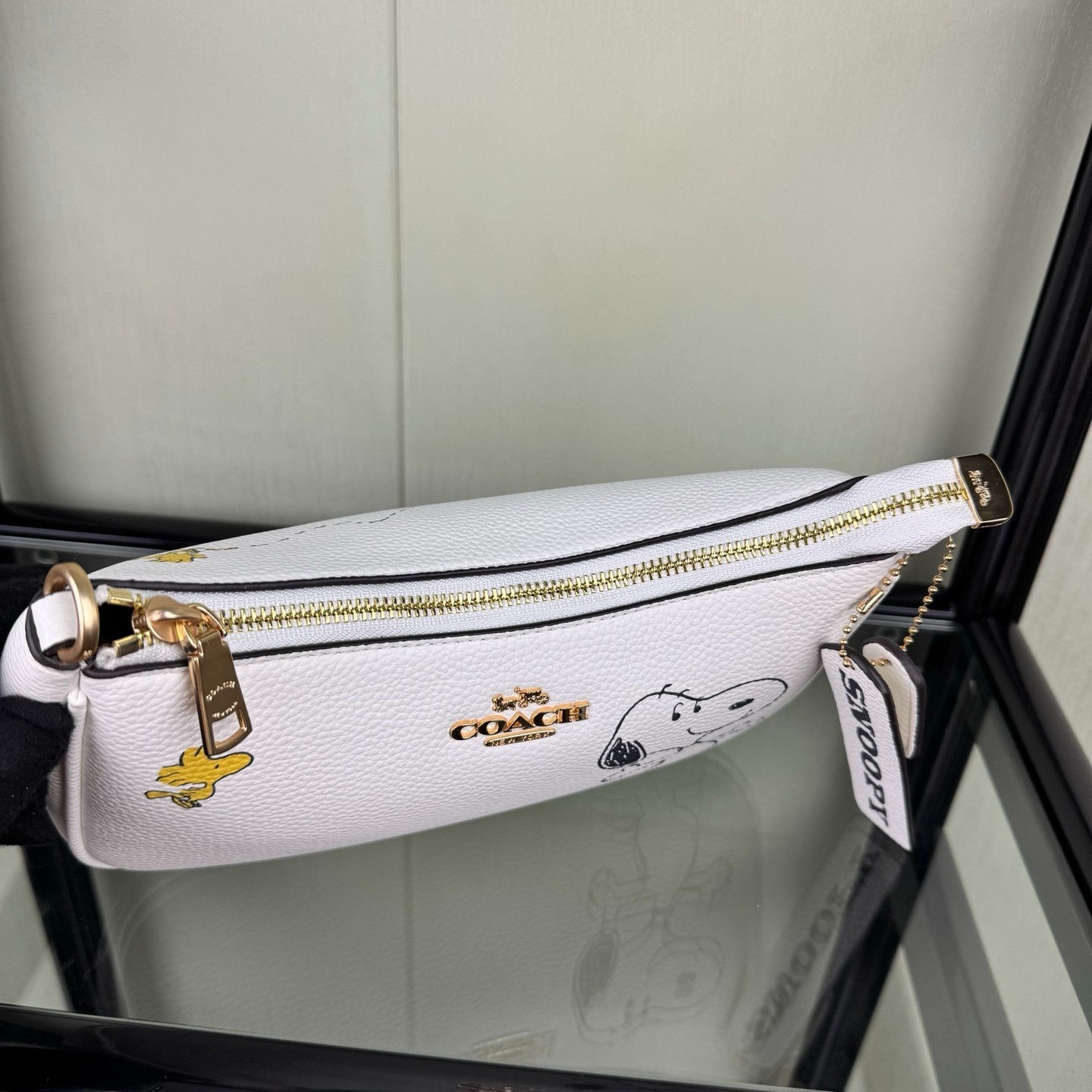 COACH CBJ76 Teri Shoulder Bag Leather PEANUTS Collaboration Snoopy Chalk Multi