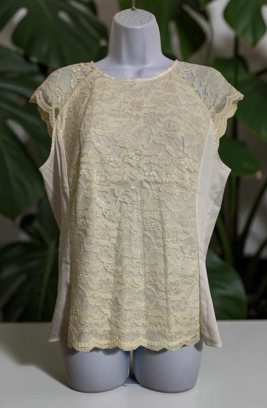 Women Antonio Melani White Short Sleeve Pullover/Zip Lace Front Blouse Sz M